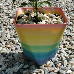 Rainbow Plant Pots